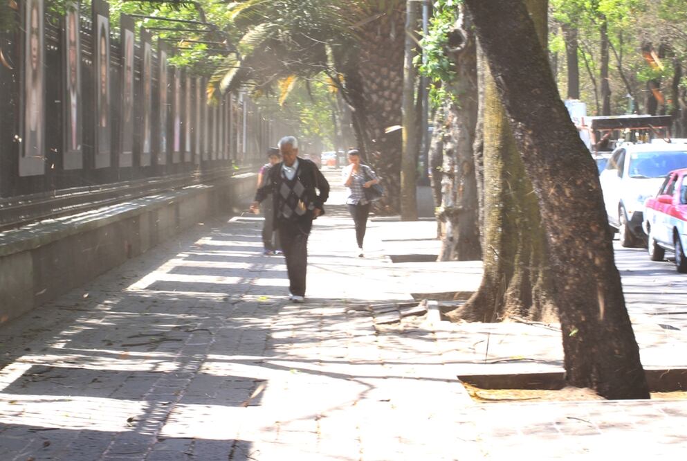 Vientos fuertes en CDMX. Foto: Irvin Olivares/EL UNIVERSAL