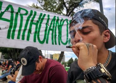 FOTOS: Así son los nuevos sitios para consumo lúdico de marihuana; hay reglas y horarios