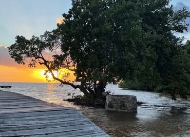 Gabriela y los sábalos de Xcalak