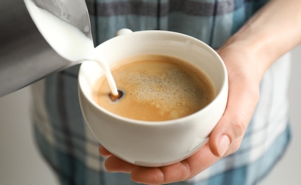 Bebida de avena, la opción deliciosa y perfecta para sustituir a la leche