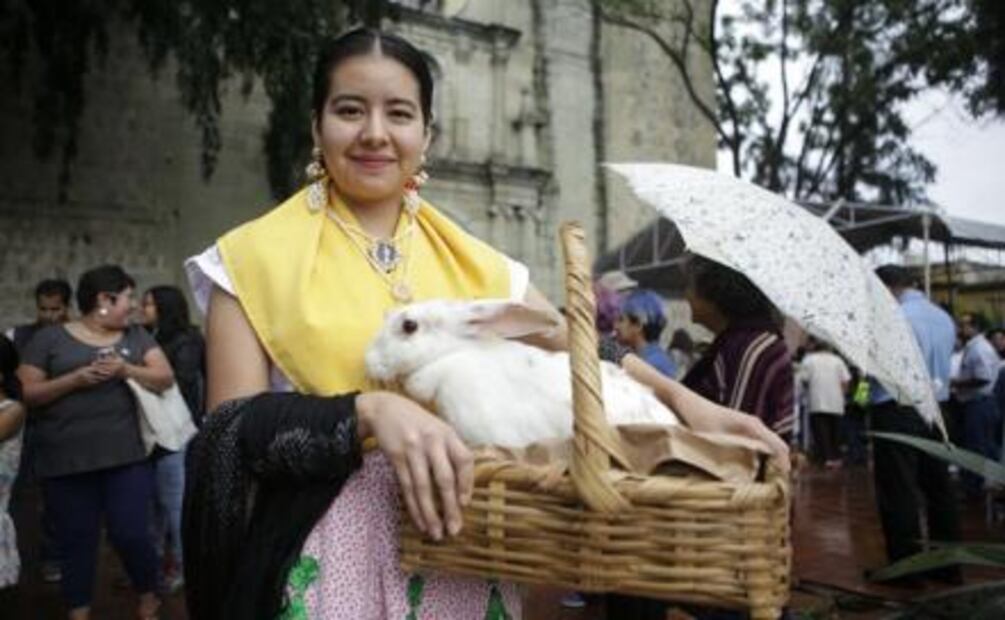 ​Bendicen a mascotas en Día de San Ramón en Oaxaca
