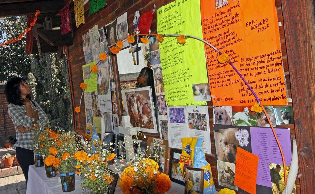 Día de Muertos 2021. ¿Cuándo vienen las mascotas?