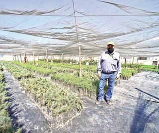 Van por mil 400 mdd para frenar migración