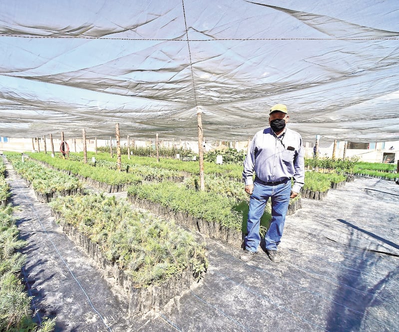 La propuesta presidencial considera que, después de un tiempo de trabajar en el campo, a los migrantes se les dé la nacionalidad de EU. Foto: ARCHIVO EL UNIVERSAL  