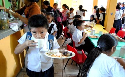 Las ONG mexicanas siguen su trabajo para el desarrollo de la sociedad civil