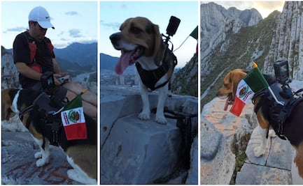 "Boston", el perrito que se viralizó tras subir un cañon en el parque ecológico La Huasteca con la bandera de México