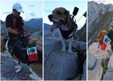 "Boston", el perrito que se viralizó tras subir un cañon en el parque ecológico La Huasteca con la bandera de México