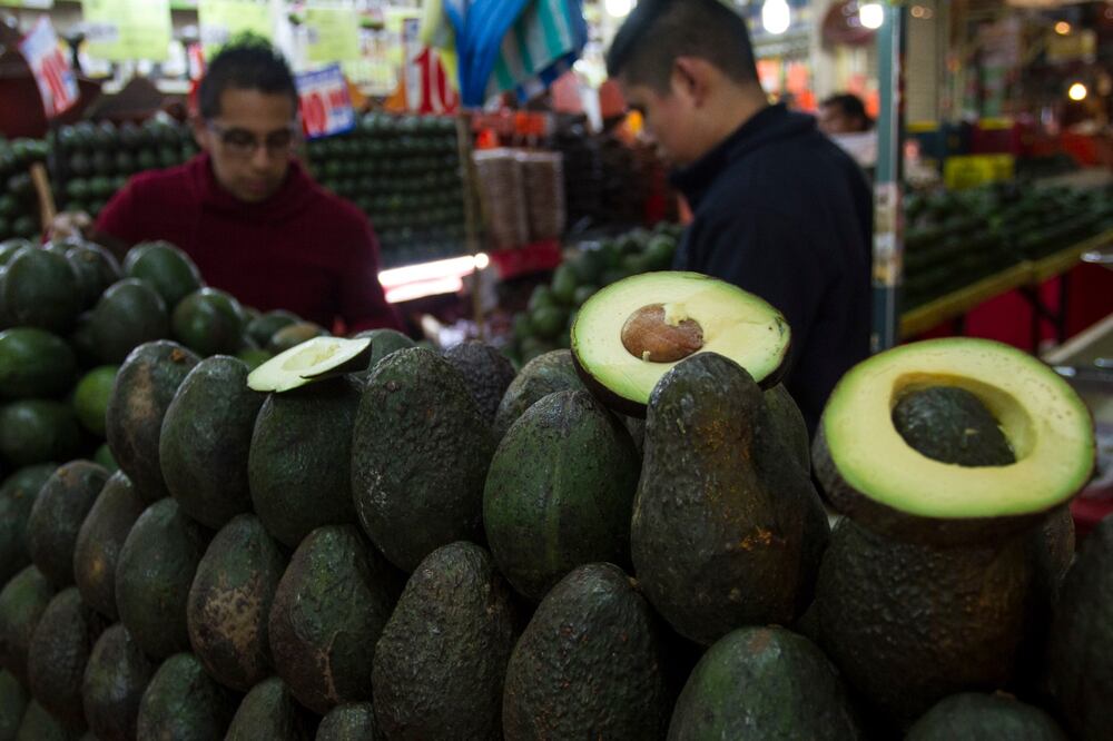 Aguacate y limón reducen su precio