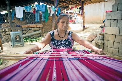 Tinte prehispánico en riesgo de extinción