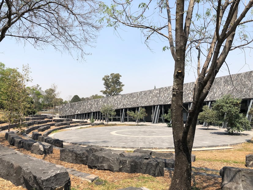 Las exposiciones temporales renuevan la experiencia del recorrido con temas actuales de ciencia y naturaleza.

Foto: Museo de Historia Natural y Cultura Ambiental