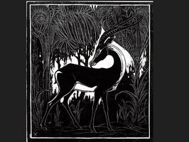 Genealogía del aforismo