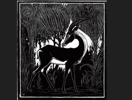 Genealogía del aforismo