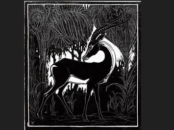 Genealogía del aforismo