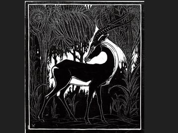 Genealogía del aforismo