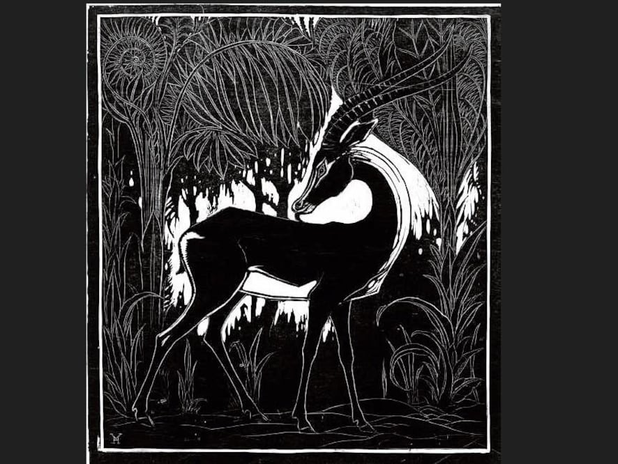 Gacela de Grant de Henri Verstijnen; ilustra el texto de Don Paterson en la revista Ritmo. Crédito: Revista Ritmo