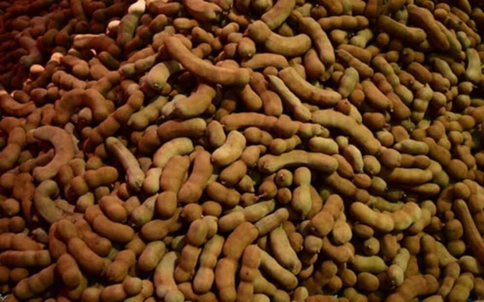 Prepara agua de tamarindo y disfruta de sus beneficios