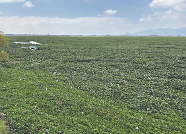 Buscan recuperar la laguna de Zumpango