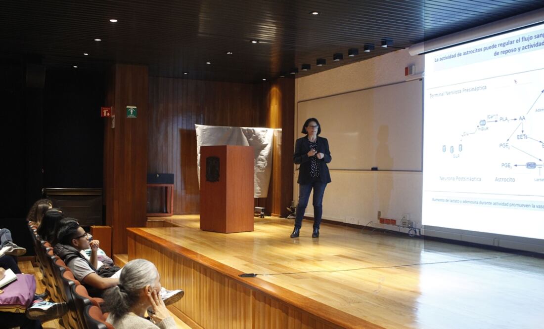 Obtienen resultados alentadores en la recuperación del daño cerebral en ratas con la administración de piruvato, un derivado de los ácidos grasos. (FOTO:FCCyT)