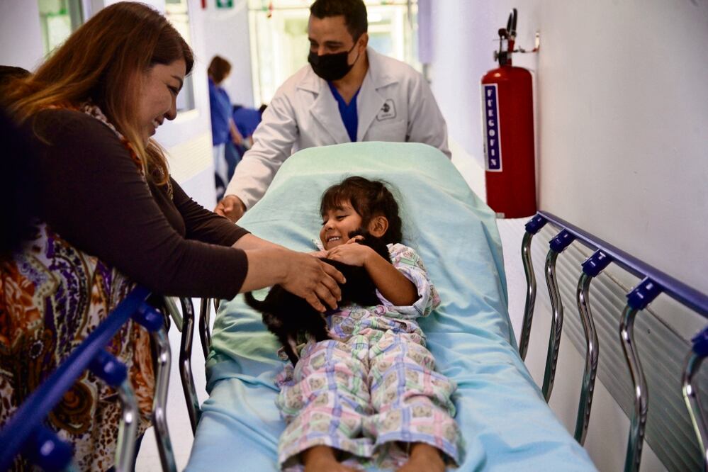 Gracias a la presencia de los perros los menores aceptan mejor los procedimientos; su compañía les permite estar tranquilos.