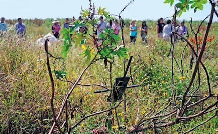 Investigation on mass burials in Morelos