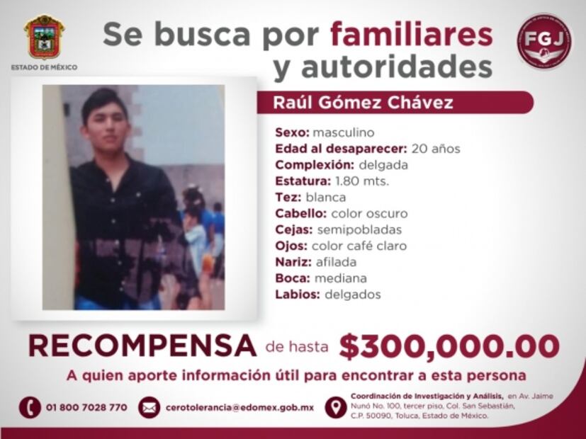 Raúl y Cristian Gómez fueron a la feria de San Isidro en Metepec y los secuestraron