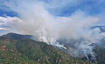 Reportan incendio forestal en la Sierra Sur de Oaxaca; pobladores acusan que fue provocado por conflicto agrario
