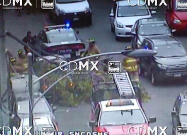 Reportan caída de 4 árboles en CDMX