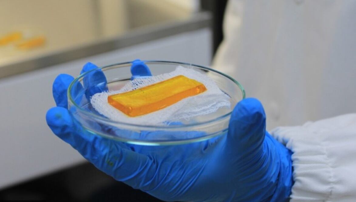 IPN crea parche inteligente para tratar heridas crónicas, 03 de noviembre de 2024. Foto: IPN