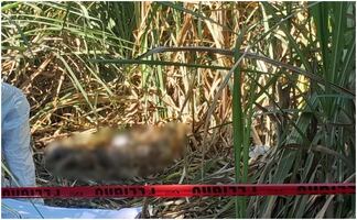 Identifican restos humanos hallados en la zona montañosa de Veracruz; la víctima desapareció tras abordar un taxi