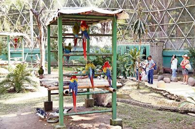 Reúnen arqueología y naturaleza en parque-museo  