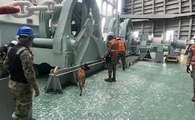 Binomio canino detecta ladrillos de cocaína en Michoacán; detienen a 5 ecuatorianos y aseguran 137 kilos de droga
