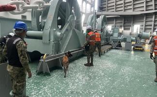 Binomio canino detecta ladrillos de cocaína en Michoacán; detienen a 5 ecuatorianos y aseguran 137 kilos de droga