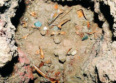 Aztecs may have kept golden eagles in captivity