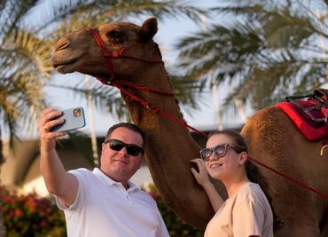 Mers, el peligroso virus del camello que preocupa ante el Mundial Qatar 2022