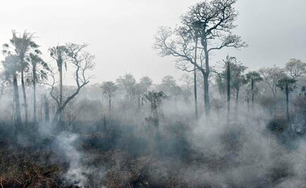 Brasil rechaza la ayuda de 20 millones de dólares ofrecida por el G7 para combatir incendios