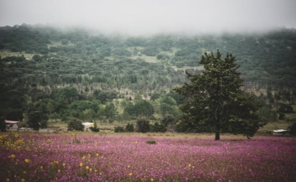 Amealco de Bonfil, un pueblo Mágico de Querétaro