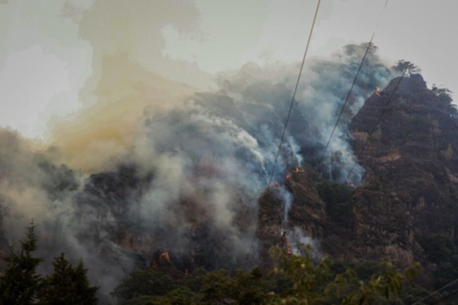Combaten incendio forestal en Tepoztlán