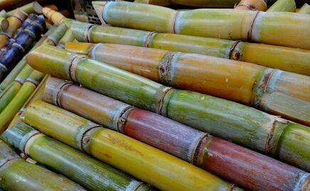Estos son los beneficios de la caña de azúcar