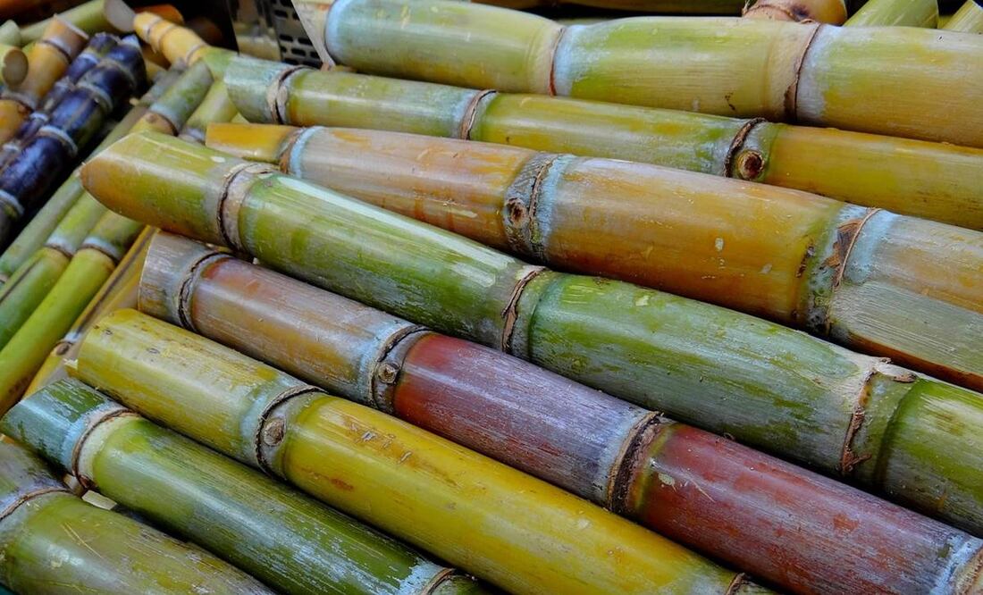 Foto: Schreib-Engel / Pixabay