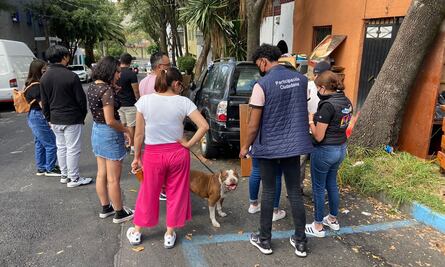 Alcaldía Miguel Hidalgo ayuda a tranferir 14 de los perritos rescatados en Observatorio