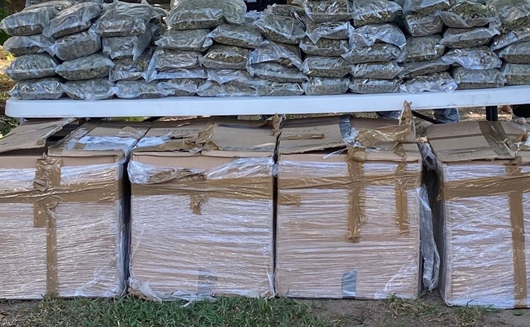 Foto: Cortesía Guardia Nacional 