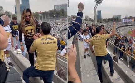 VIDEO: Fanáticos de Pumas se comprometen en las gradas del Estadio Olímpico Universitario