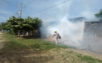 Muere niño de 5 años por dengue y pone en alerta al Istmo de Oaxaca 