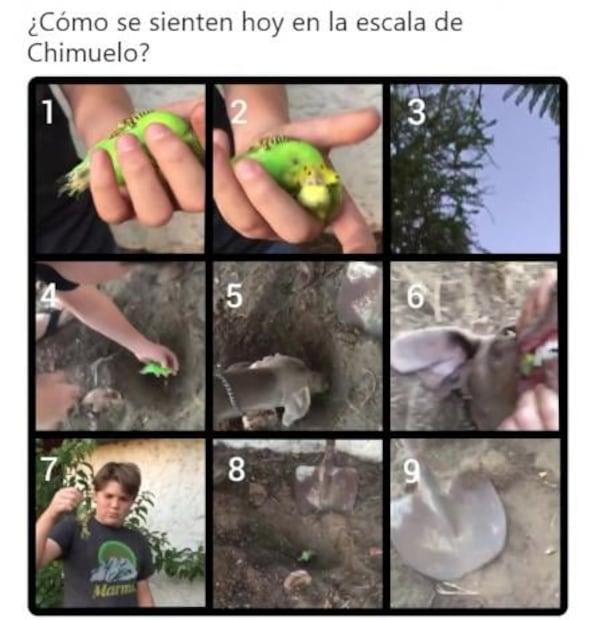 "Chimuelo", el primer viral de 2019 que llegó a la publicidad