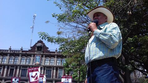 Senador Fidel Demédicis prevé "la muerte" del PRD