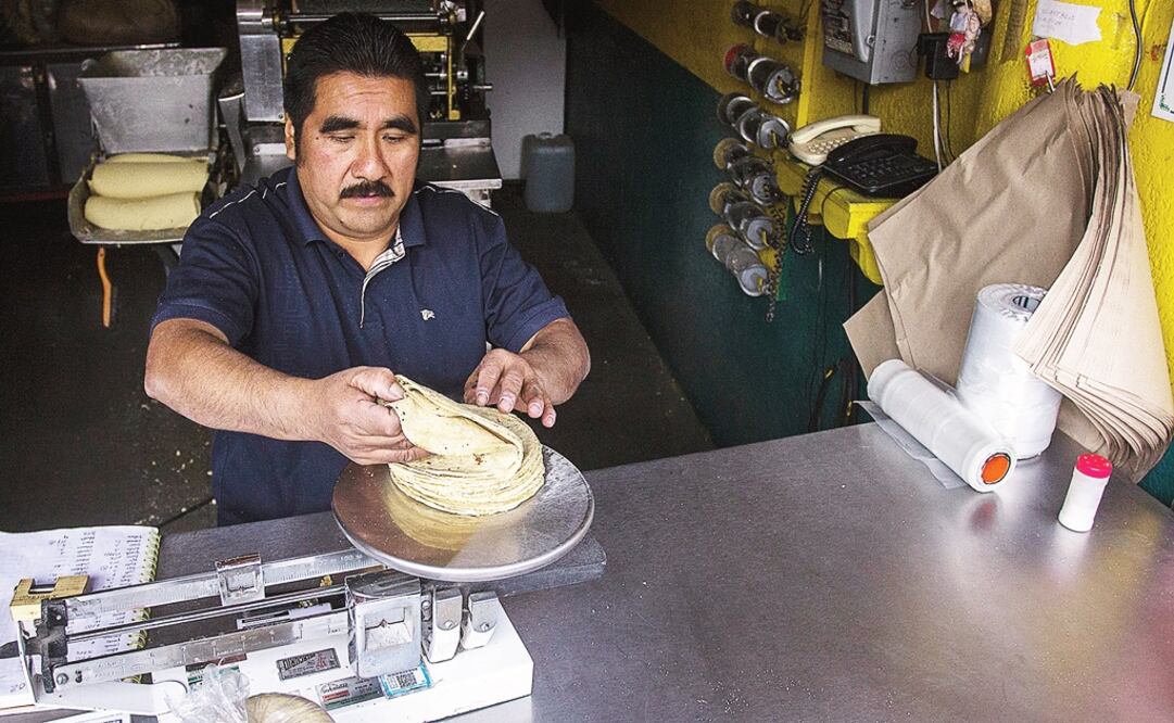 Foto: Archivo/Cuartoscuro                