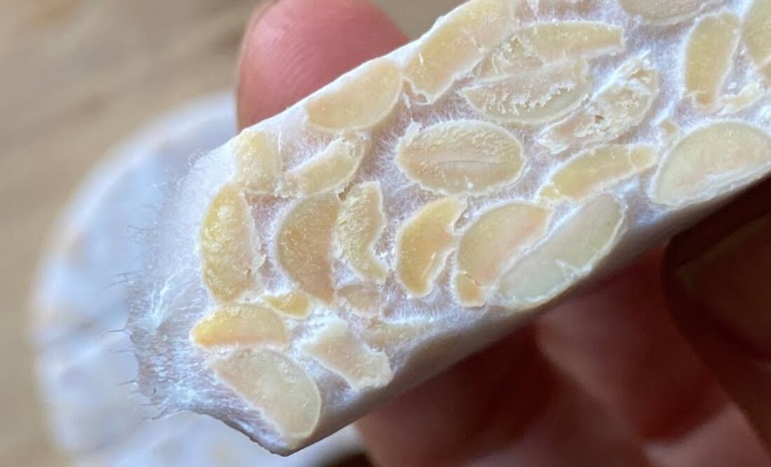 Tempeh. Fuente: YouTube