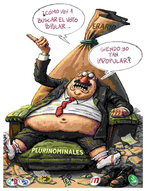 Cartón de FER