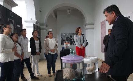 Cerebros humanos llegan al Museo de la Ciudad de Cuernavaca