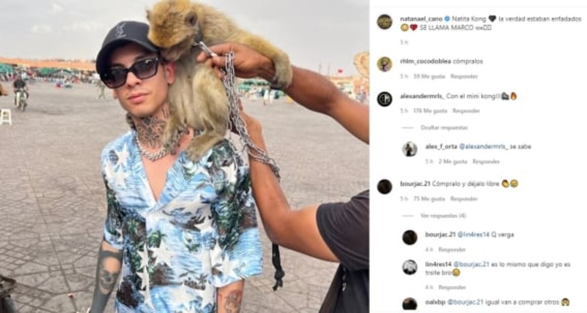 Natanael Cano expone maltrato animal en Marruecos